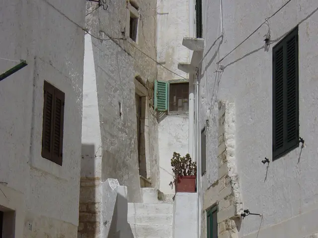 Full-time Position: Chief of Staff