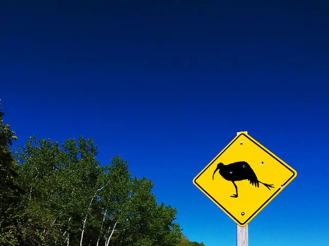 Nest's climate-conscious equity investments surge to £22.8bn