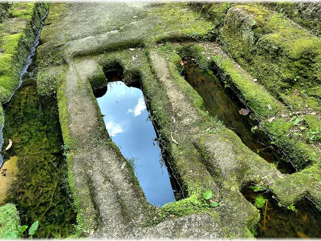 Need for Increased Representation of Black and Brown Individuals in Congress