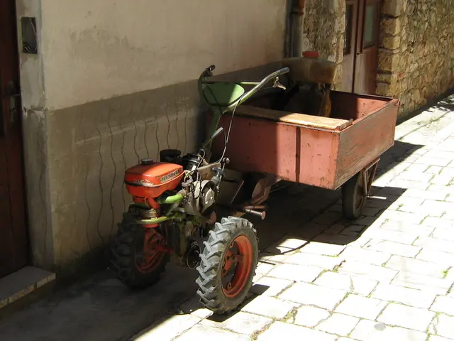 The aggregate worth of the organization's assets