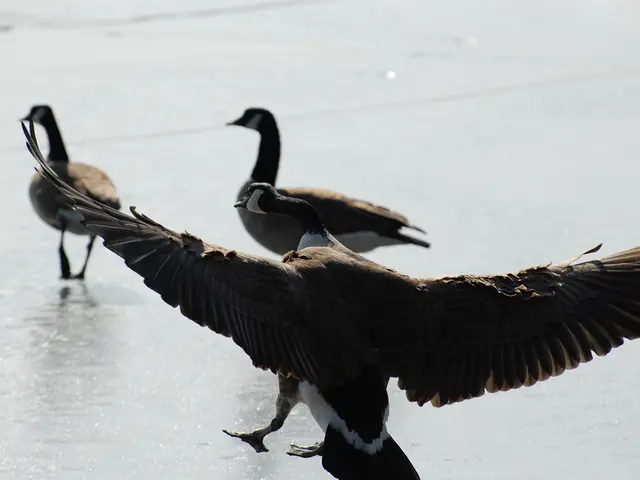 Law firm Bird & Bird acquires a banking specialist from RHTLaw in Singapore.