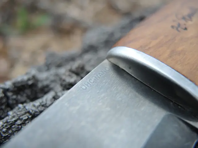 Rock establishment imposes suspension on Pariente, initiates internal inquiry