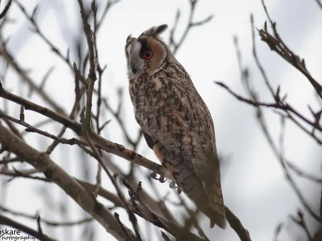 Former manager of Huntington bank's branch files lawsuit, claiming Family and Medical Leave Act...