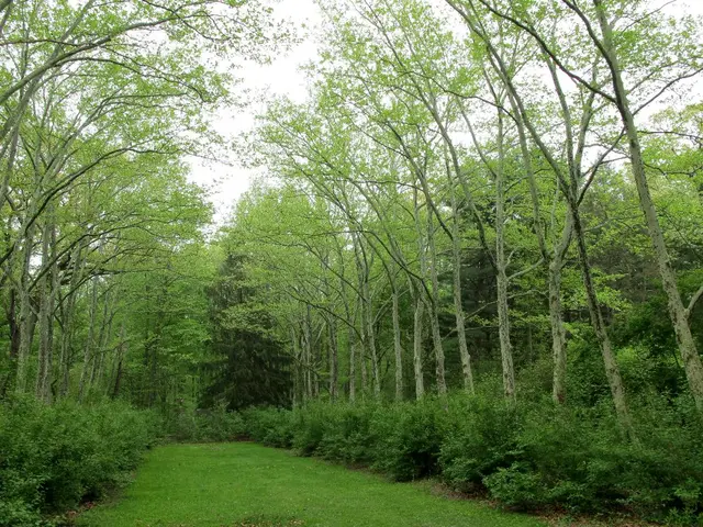 Italian enterprises, approximately one-third, incorporate biodiversity considerations in their...