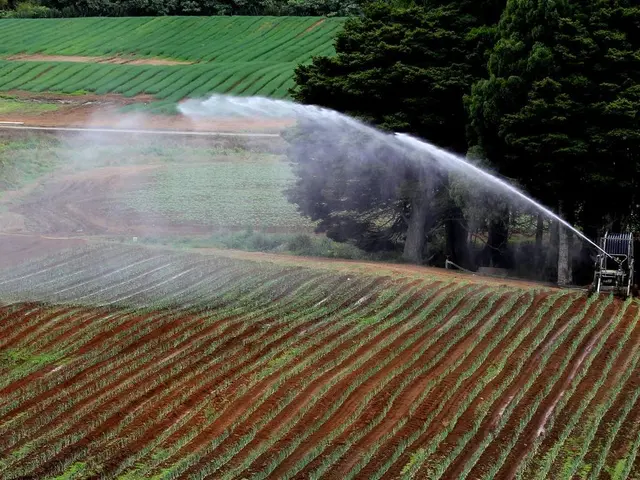 Early payment of taxes by collective farms, as announced by Victory Vachta, is aimed at...