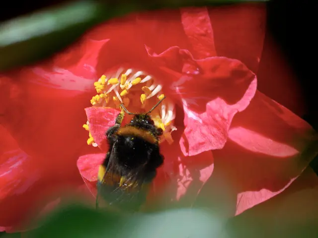 Financial blunders in 401(k) management that might jeopardize your post-retirement prosperity