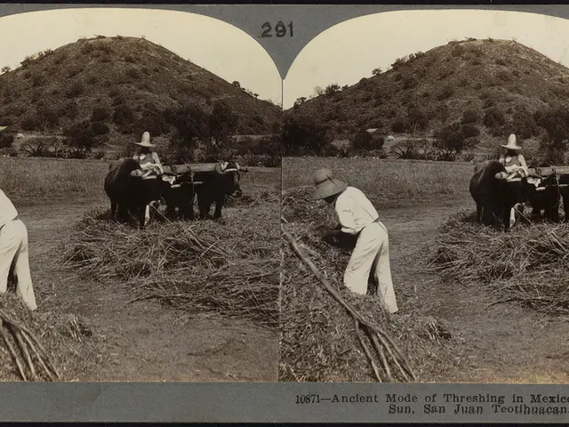 Robinhood's share price potentially reaching new record heights, foreseen by analysts