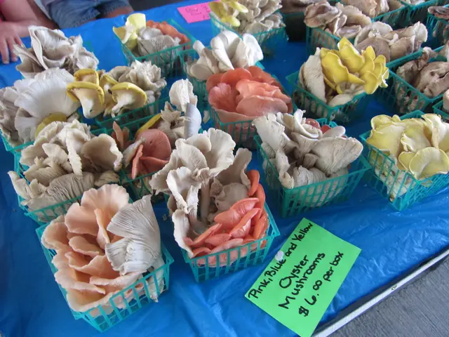 Prices decreased moderately by 0.9% in July compared to the previous month.