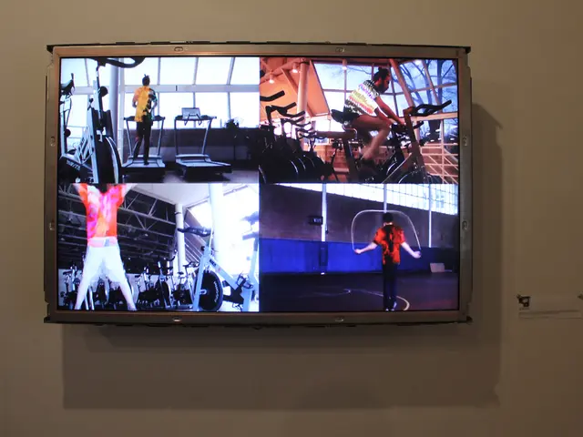 Disney earns revenue through streaming services and theme park attractions