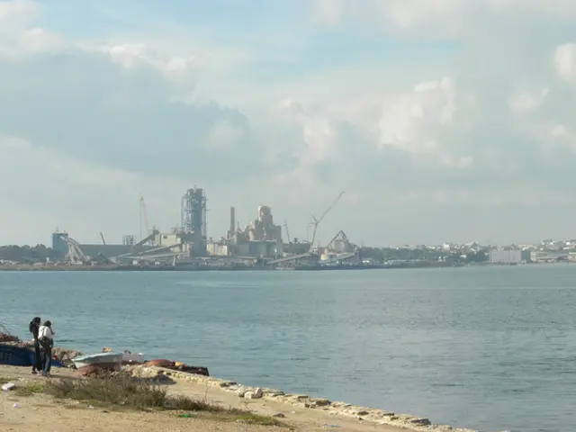 "19th Century River Expertise": Yevdoquia Melnikov's Dominance in River Shipping Business of the...