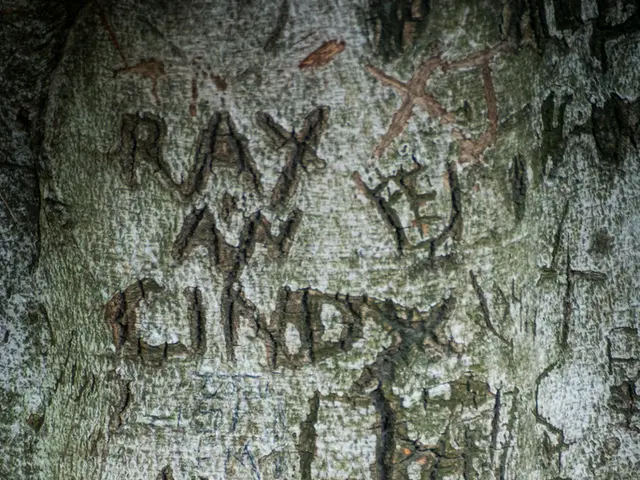 Strategies for Expanding Law Firms: Achieve a Prosperous End to the Year in 14 Weeks