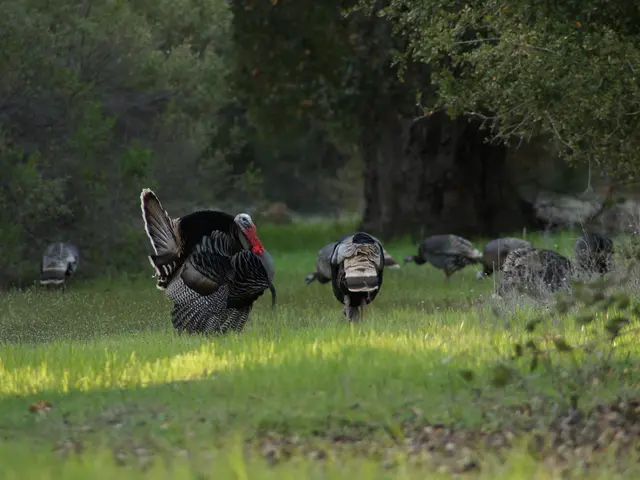 Aiming for low inflation in the single digits by 2027, as stated by Şimşek