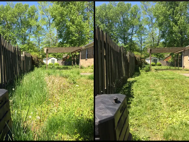 Approximately 400 euros in support: Millions of citizens to receive financial assistance in August