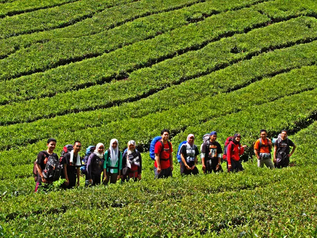 Securing the Property Ownership for Rural Farmers