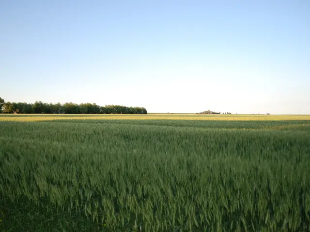 Ulster Bank appoints Des O'Shea as its new chairman