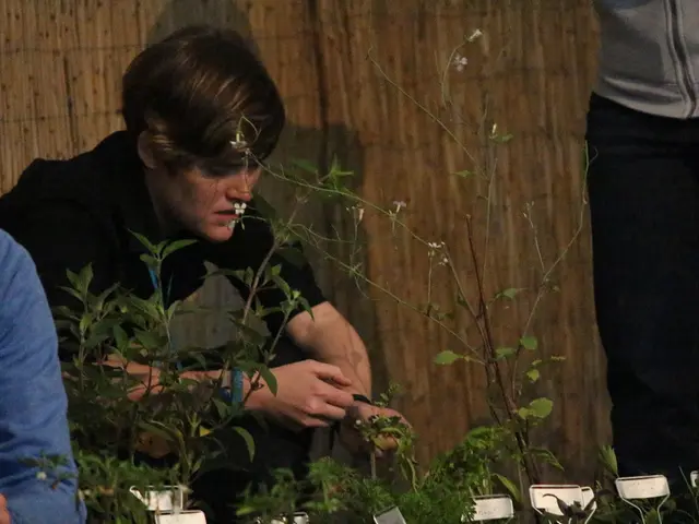 Investigation Directed at DG Over Labeling of Unsubsidised Products with Sponsored Urea by CCI