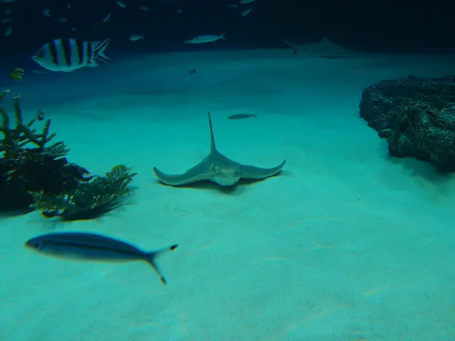 KETOS Joins Forces with Siemens to Bolster Global Water Management Capabilities