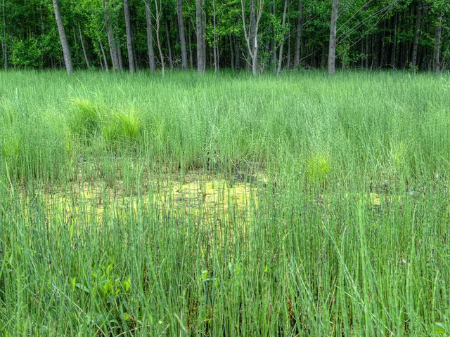 Farm carbon reduction efforts, collaborative agriculture approach for decreasing CO2 emissions