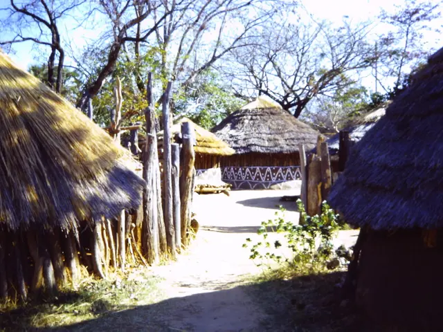 Harnessing Forest Preservation through Electrical Means