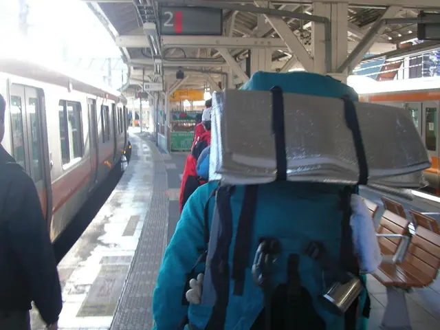 Disruptions and interruptions affecting the Central S-Bahn trains