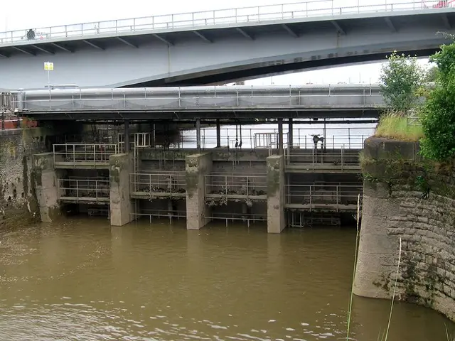 Uncontrolled Management of HP Dams Leads to Environmental Destruction: Freedom of Information...