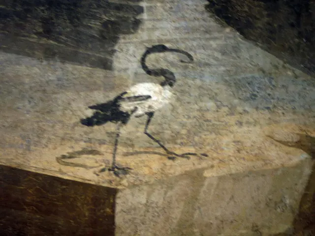 Company Mutares assumes leadership role, replacing Jost.