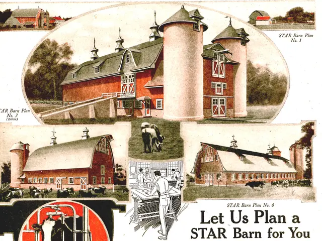 Increased Output Reported at Ulyanovsk-Vymsky KFHs