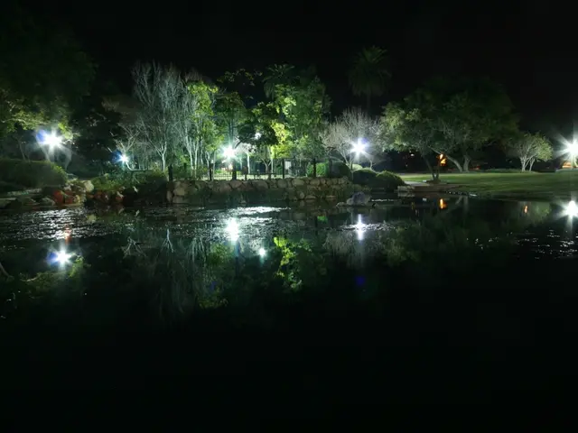 "The Punjab's governing body retracts Land Pooling Policy due to a hold issued by the High Court"