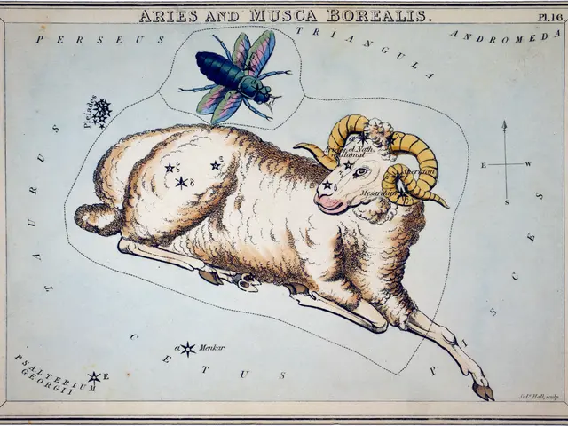 Jobless rate surges by 200,000 under Labour's admin, businesses cite elevated national insurance...