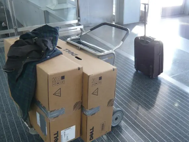 Decline in U.S. Container Imports Amid Tariffs and Economic Instability