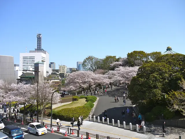 Fridays see the enforcement of traffic restrictions on the A8 highway amid congested traffic...
