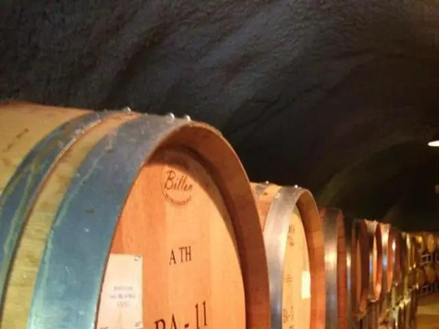 Trump-Putin meeting leads to decrease in Brent price by 1.48% prior to the event