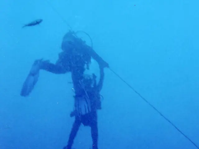 Stable hydrogen production of 800 hours is achievable through the use of a robust carbon cloth...