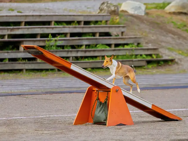 Mineral Earth Company Announces Special Fundraising Event