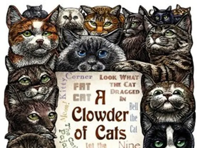 Case Number ISCAP 2015-071, File 13