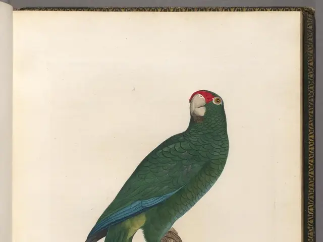 Business should emulate Warren Buffett's fearless approach and revolutionize business norms, as his...