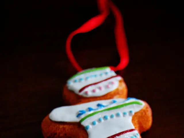 Undercover investigation reveals 14.17 crore collected in fees by recruitment agencies in Jammu and...