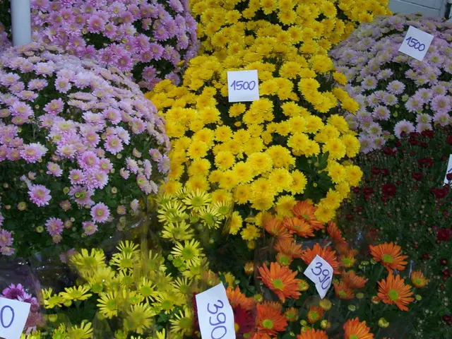 Mandatory Solar Tariff Shift Imposed by EVN on Customers