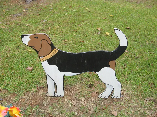 Dogecoin (DOGE) Potential 15% Price Decrease Explained