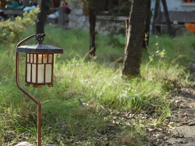 Solar energy set to power a third of operations at Jaguar Land Rover's headquarters