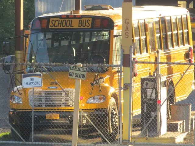 Neglected Guidelines for Shared Commuting: Navigating Public Transport Regulations in Victoria