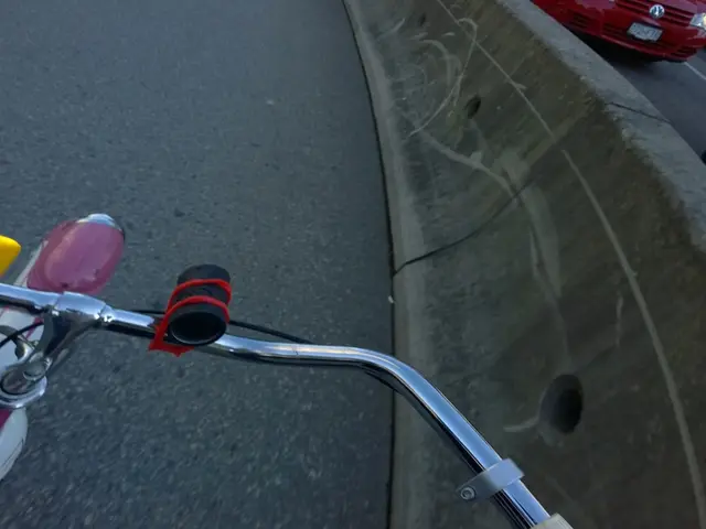 Work Force Segregation