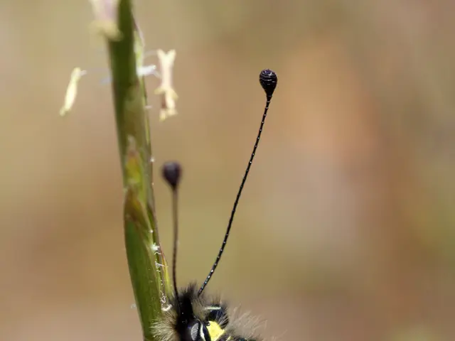 Stirring Optimism in Kendall Square: Biogen's Breakthrough Sparks Interest