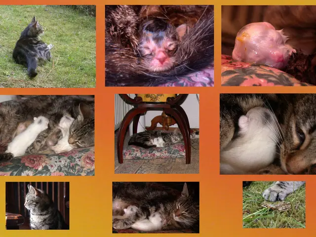 Expanded Hydrolyzed Animal Protein Market Expected to Reach USD 800.5 Million by 2034