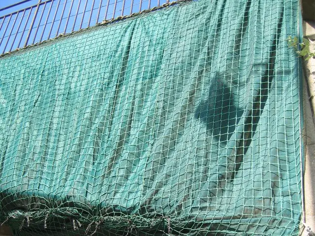 This is the picture of a place where we have some buildings, a fencing to which there is a green...