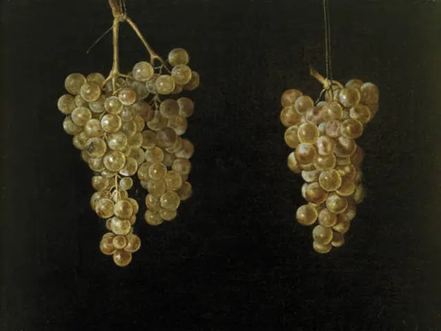 In this image, we can see an artificial grapes which are hanging and the background is dark.