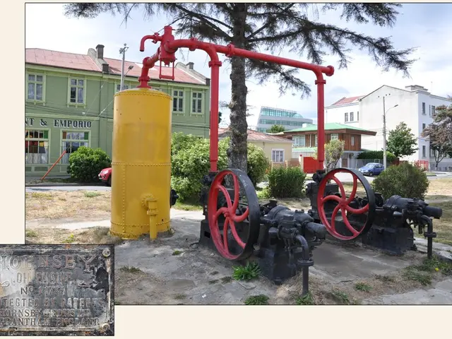 In this image, we can see some buildings, trees and plants. There is a machine in the middle of the...