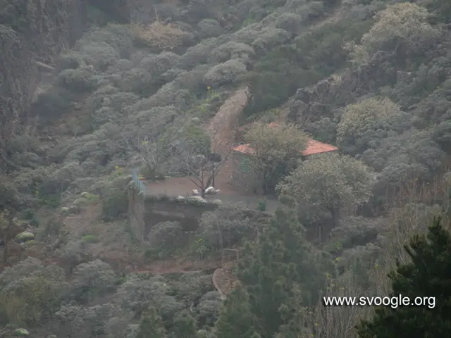 In this picture I can see there is a building on the mountain, there are trees around it and there...