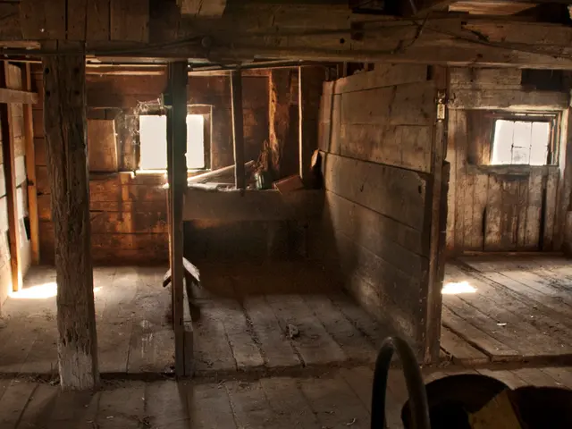 In this image we can see a wooden house, here is the pillar, here is the window, here is the wall.