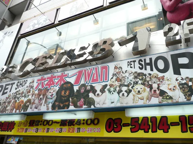 This picture is mainly highlighted with a building. We can see glass windows, boards, hoardings and...